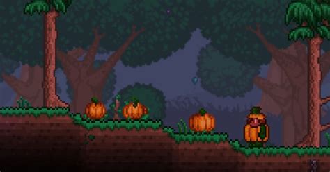 Unlike Pumpkin armor, the Pumpkin set can not be crafted. . How to get pumpkins in terraria